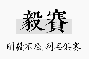 毅赛名字的寓意及含义