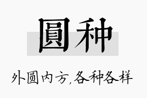 圆种名字的寓意及含义