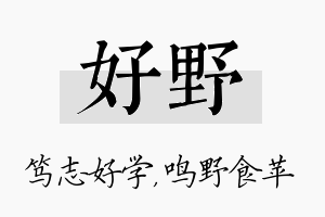 好野名字的寓意及含义