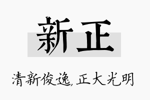 新正名字的寓意及含义