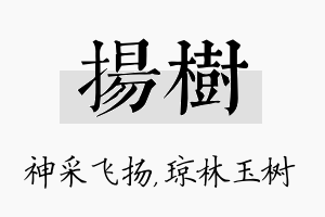 扬树名字的寓意及含义