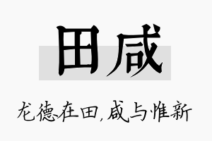 田咸名字的寓意及含义