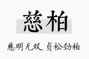 慈柏名字的寓意及含义