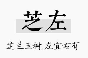 芝左名字的寓意及含义