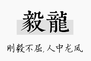 毅龙名字的寓意及含义