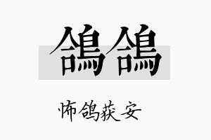 鸽鸽名字的寓意及含义