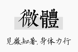 微体名字的寓意及含义