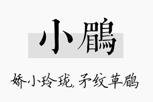 小鹛名字的寓意及含义