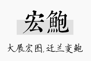 宏鲍名字的寓意及含义