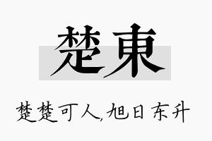 楚东名字的寓意及含义