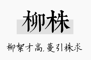 柳株名字的寓意及含义