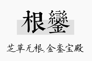 根銮名字的寓意及含义