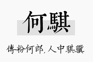 何骐名字的寓意及含义