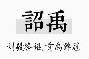 诏禹名字的寓意及含义