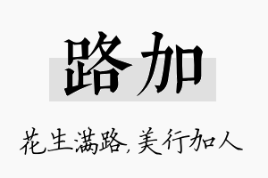 路加名字的寓意及含义