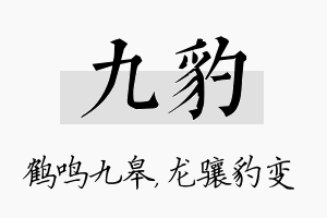 九豹名字的寓意及含义