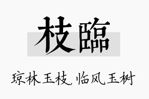 枝临名字的寓意及含义