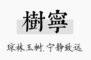 树宁名字的寓意及含义