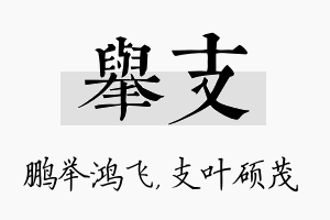 举支名字的寓意及含义