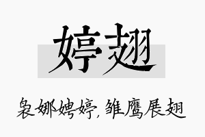 婷翅名字的寓意及含义