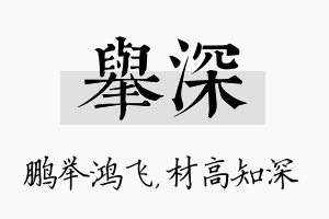 举深名字的寓意及含义