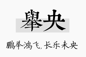 举央名字的寓意及含义