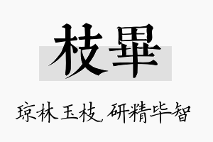 枝毕名字的寓意及含义