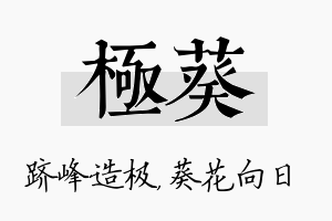 极葵名字的寓意及含义