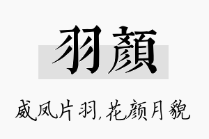 羽颜名字的寓意及含义