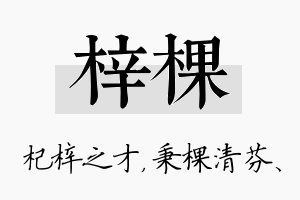 梓棵名字的寓意及含义