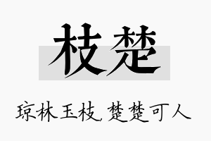 枝楚名字的寓意及含义