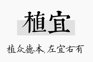 植宜名字的寓意及含义