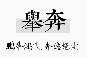 举奔名字的寓意及含义