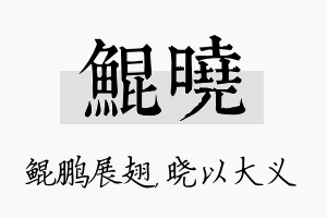 鲲晓名字的寓意及含义