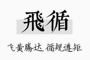 飞循名字的寓意及含义