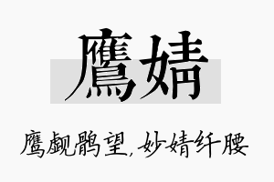 鹰婧名字的寓意及含义