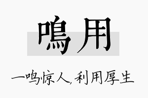 鸣用名字的寓意及含义