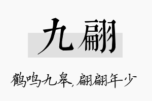 九翩名字的寓意及含义