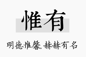 惟有名字的寓意及含义