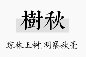 树秋名字的寓意及含义