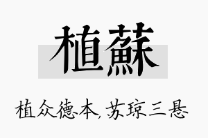 植苏名字的寓意及含义