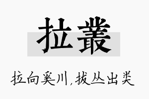 拉丛名字的寓意及含义