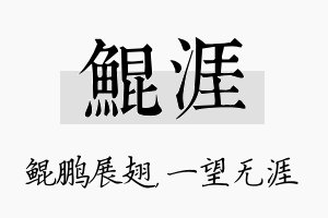 鲲涯名字的寓意及含义