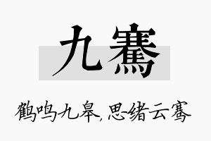 九骞名字的寓意及含义