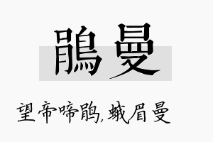 鹃曼名字的寓意及含义