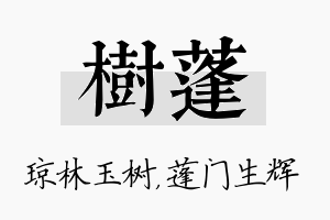 树蓬名字的寓意及含义