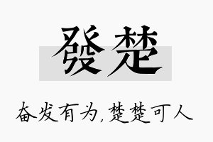 发楚名字的寓意及含义