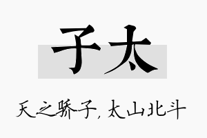 子太名字的寓意及含义