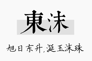 东沫名字的寓意及含义