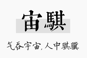 宙骐名字的寓意及含义